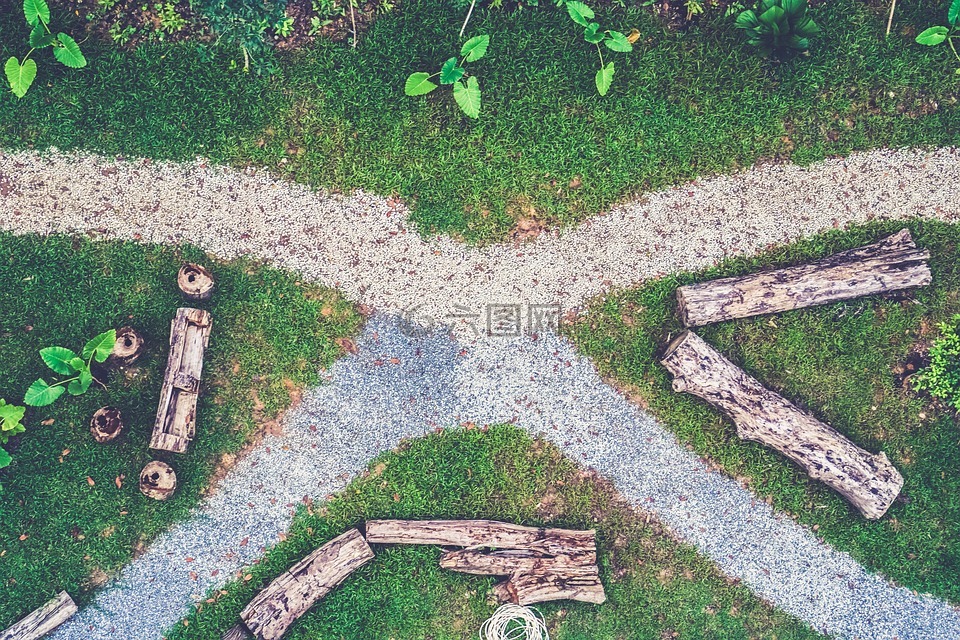 花園,草,葉子