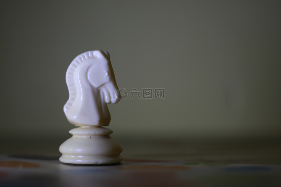 棋,馬,游戲