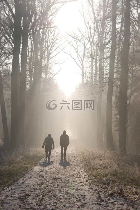 冬天,景觀,性質(zhì)
