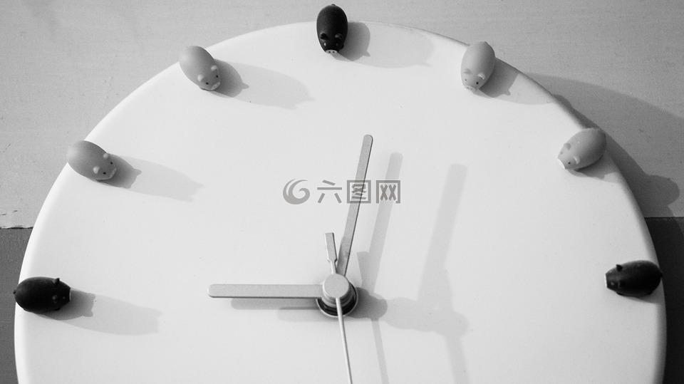 時(shí)間,時(shí)鐘,只小豬