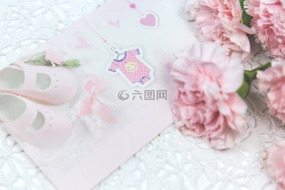 可愛的,公告,到達