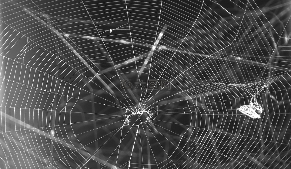景觀,web,黑色和白色