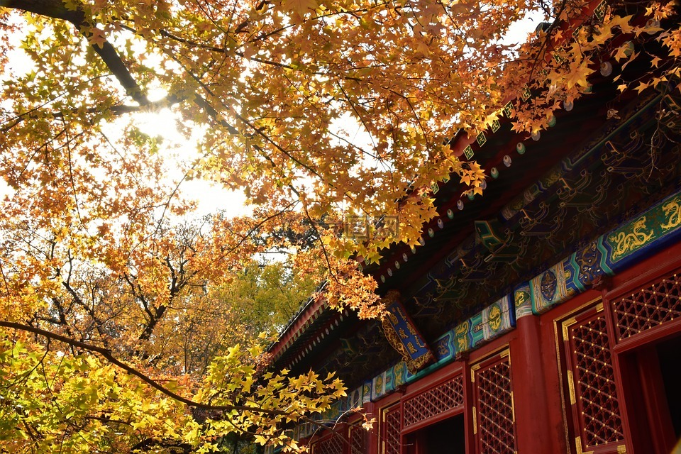 古建筑,北京,香山