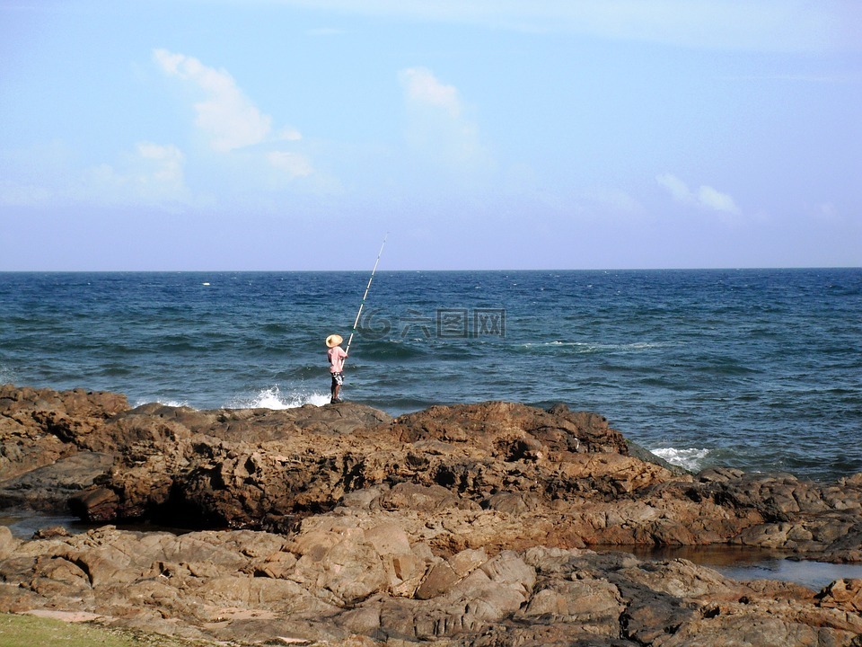 太陽(yáng),海,魚(yú)