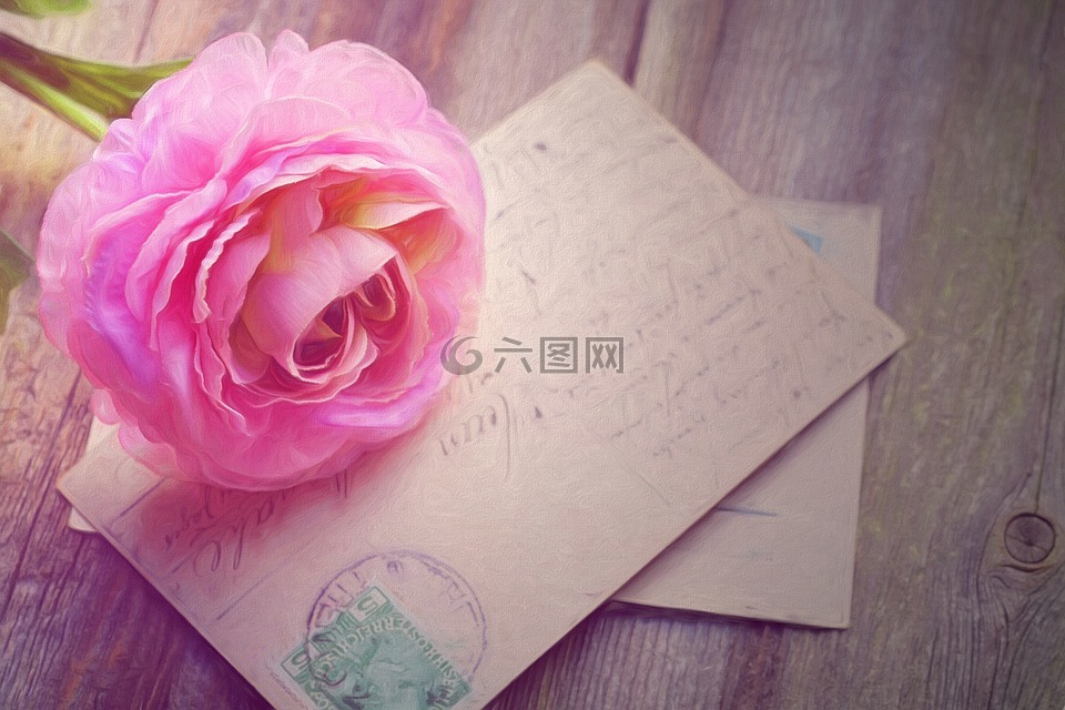 繪畫,玫瑰,卡