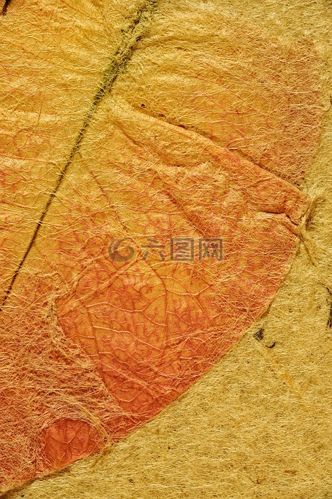 地圖,羊皮紙,古代