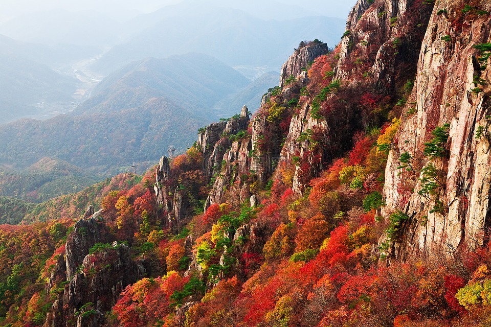 山 秋天的树叶 秋季高清图库素材免费下载 图片编号 6980764 六图网