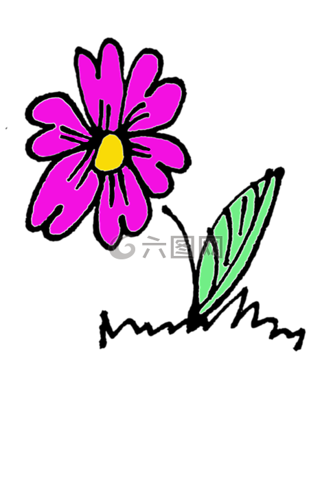 花,花卉,性質(zhì)
