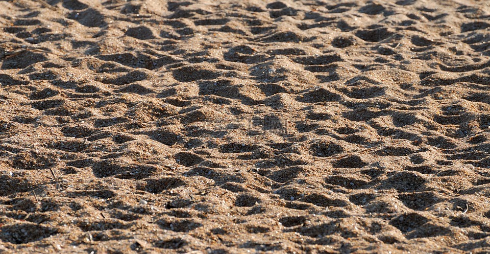 沙海灘,背景,戶(hù)外