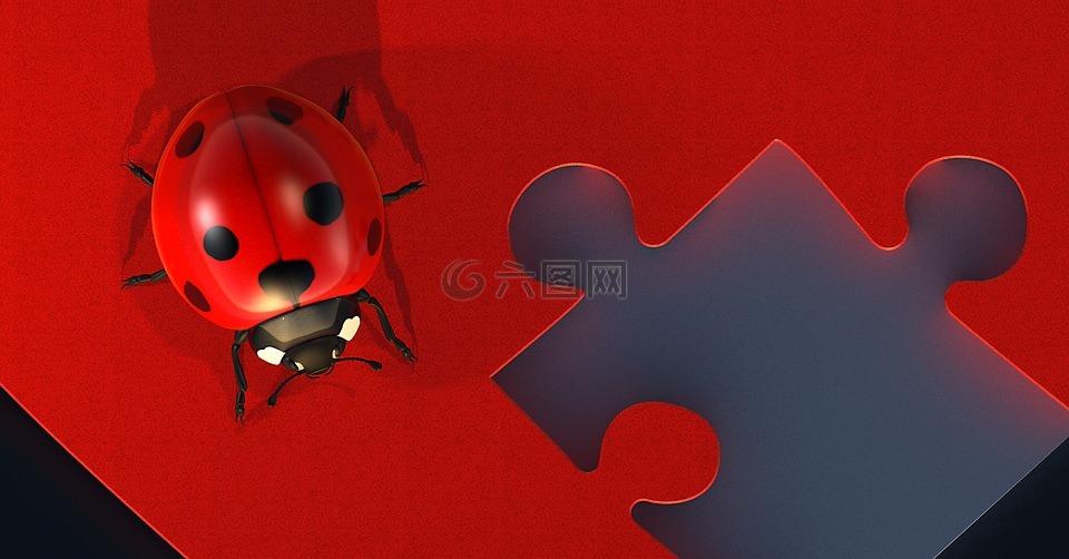 心臟,謎,愛情