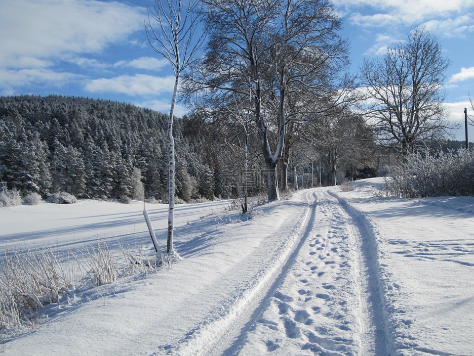离,冬天,雪