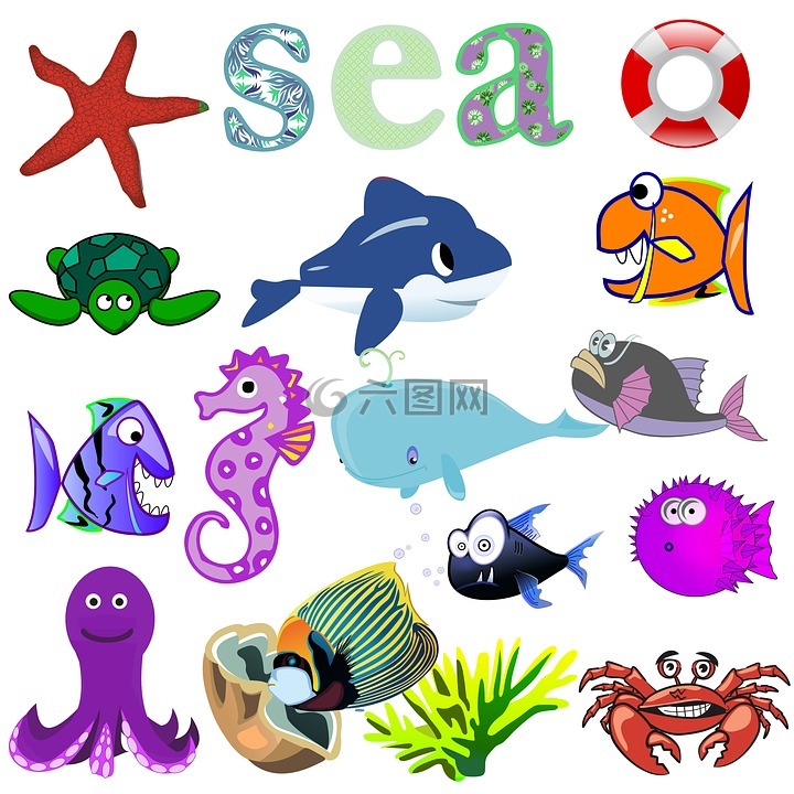海,魚,動物