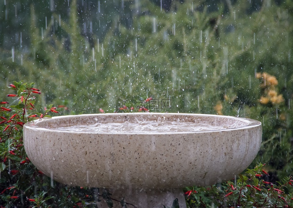 雨,降雨,濕