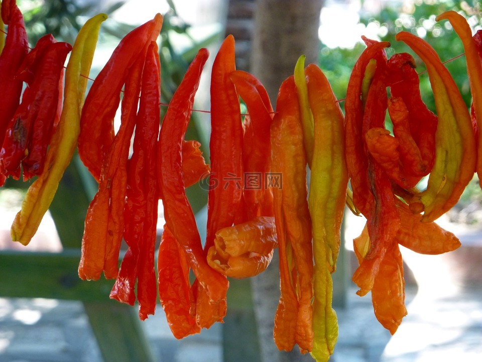 蔬菜,辣椒,太陽