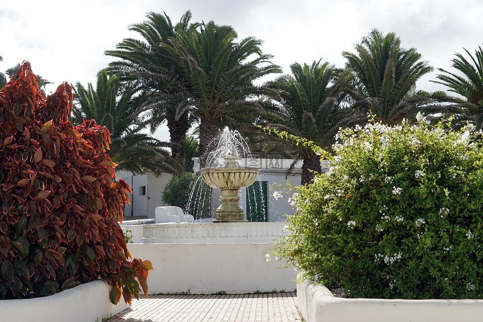 teguise,空間,噴泉