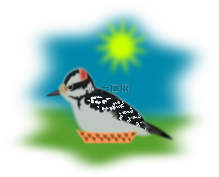 麻雀,啄木鳥,鳥