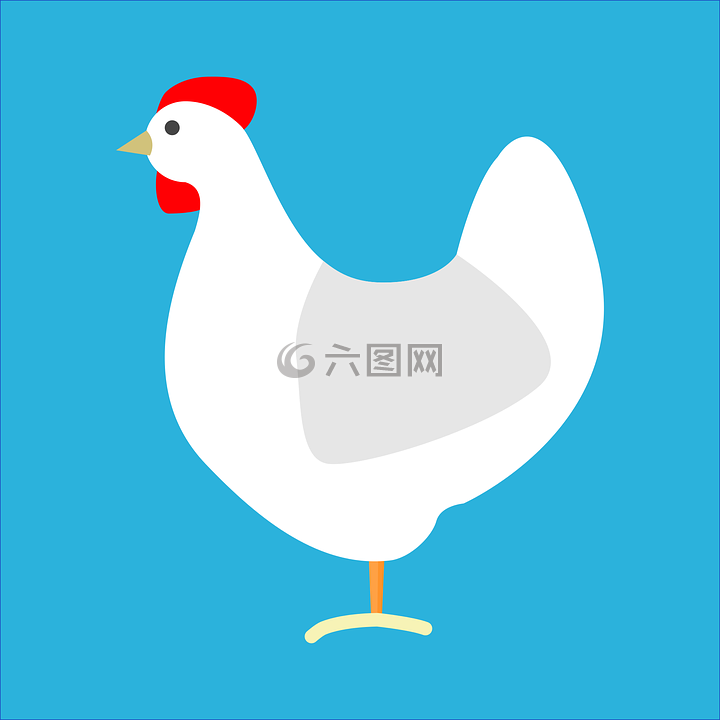 雞,羽毛,鳥
