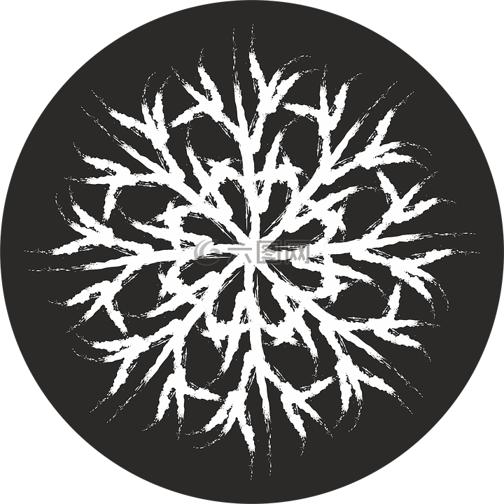 雪,白雪公主,白色