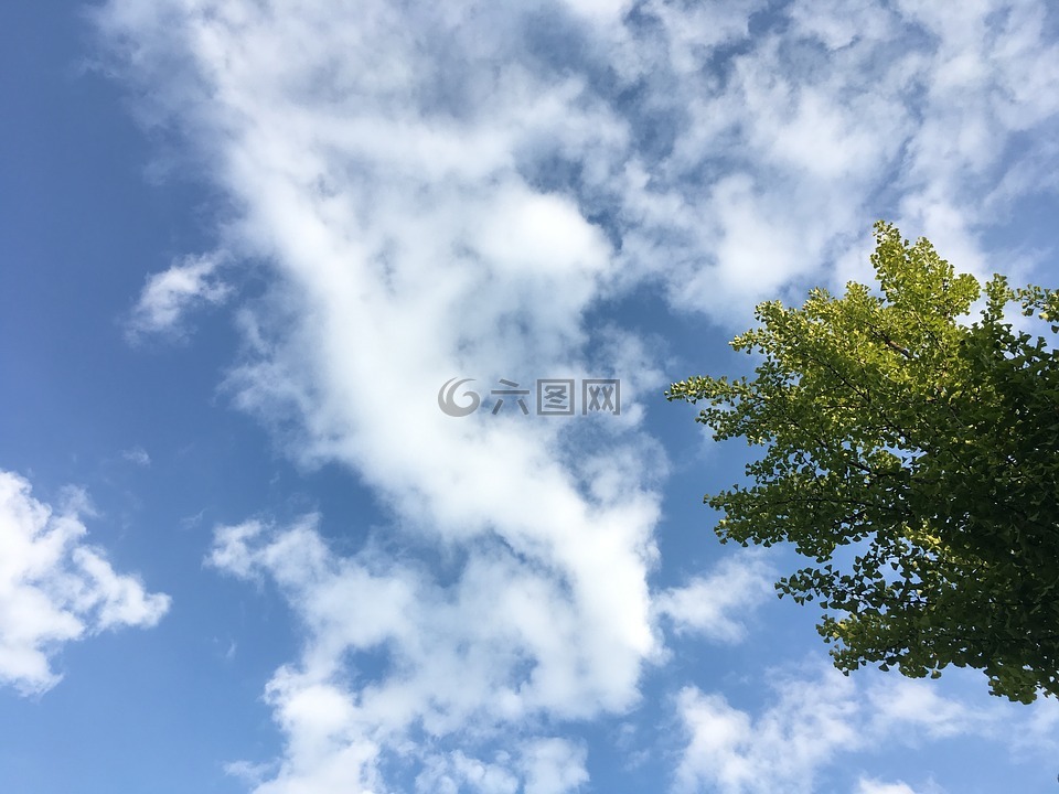 夏天,天空,博覽會(huì)