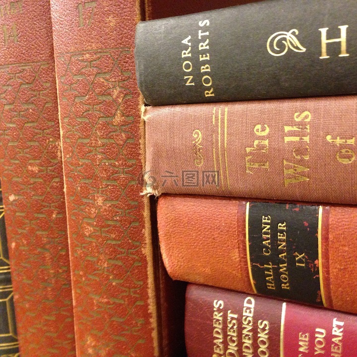 書,智慧,庫
