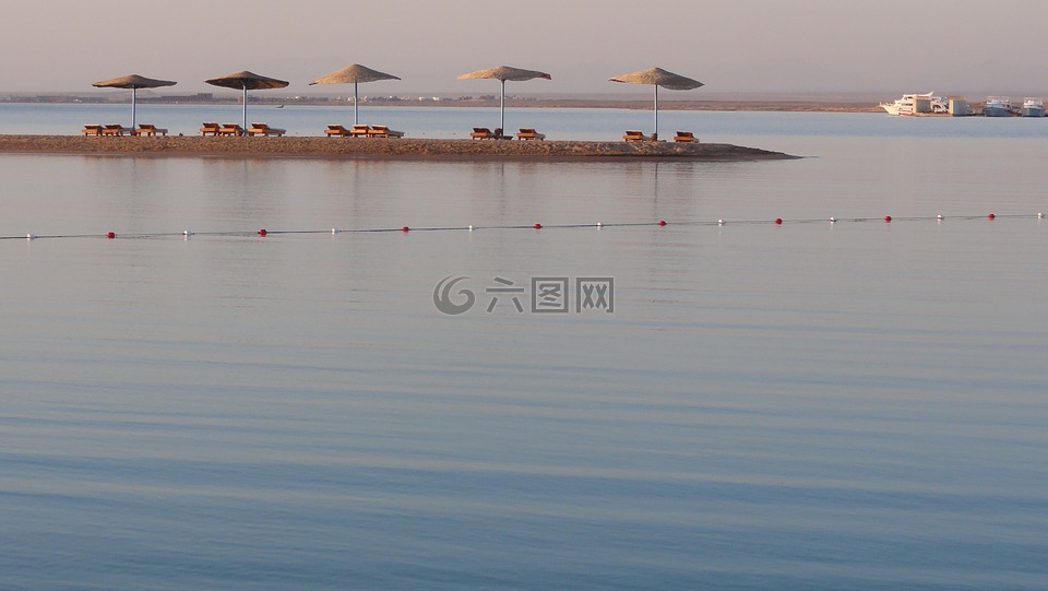 海灘,梧桐,海太陽