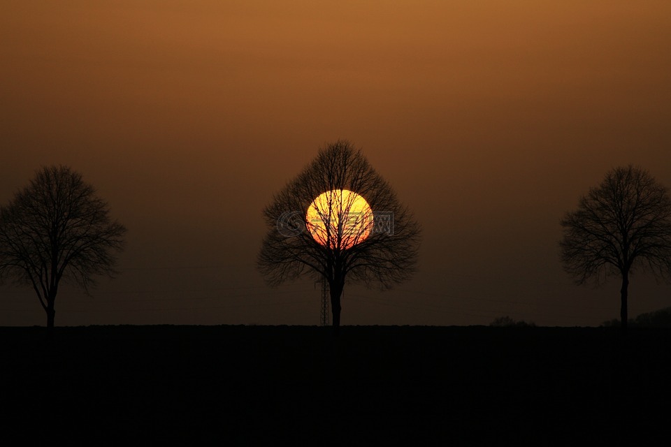 樹,abendstimmung,落山的太陽