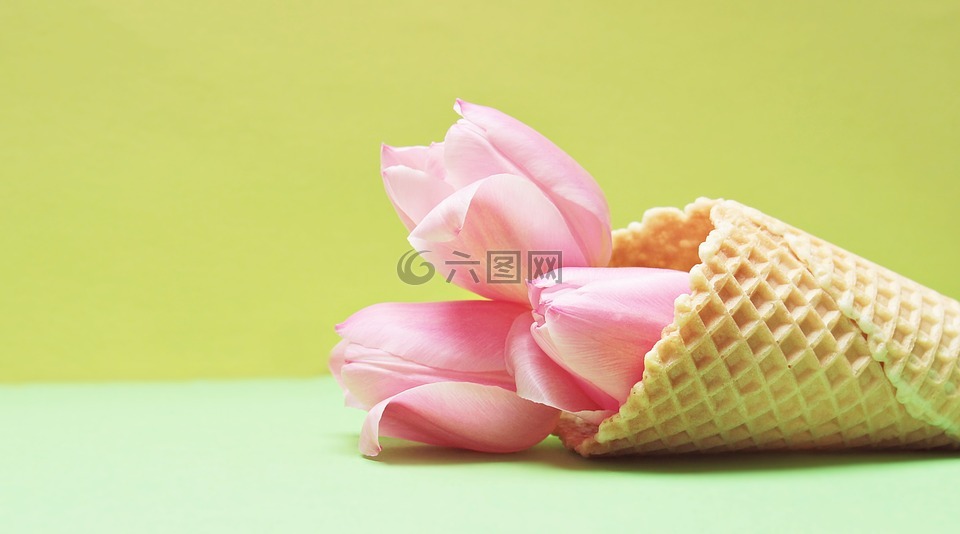 郁金香,郁金香花,鮮花
