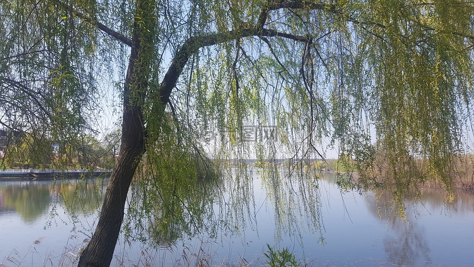 湖,看,走