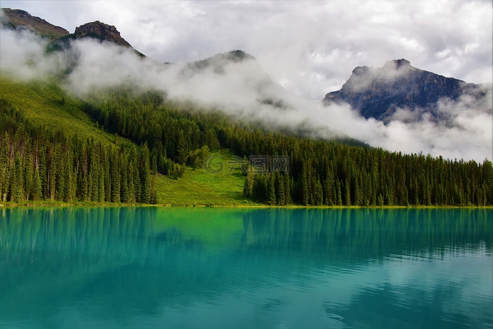 風光,風景,自然