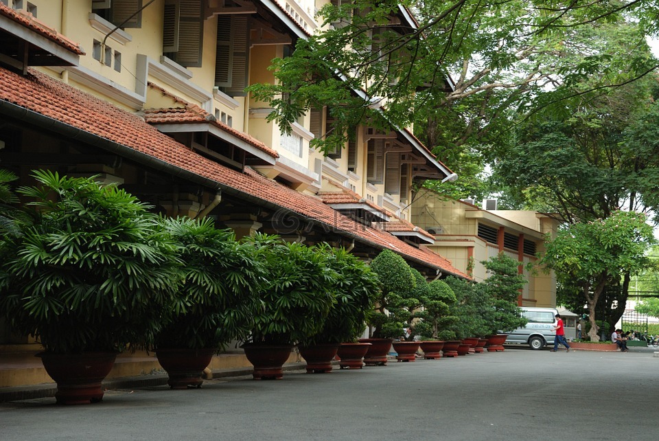 hcmus,越南,胡志明市