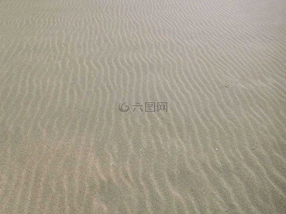 沙,海灘,設(shè)計