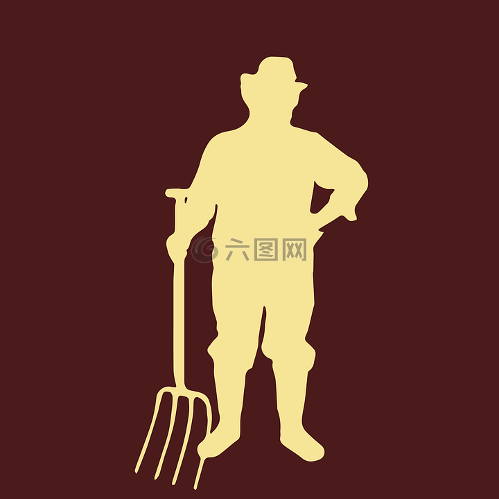 男子,農(nóng)民,村