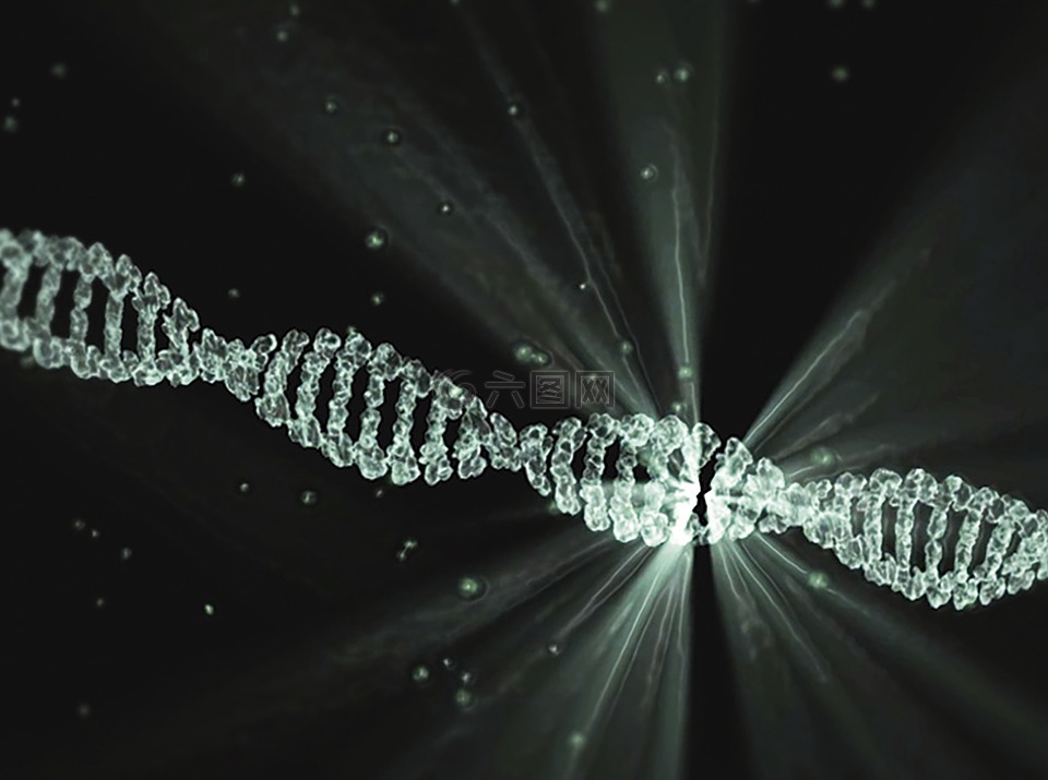 dna,項目lumina,沃爾特waymann