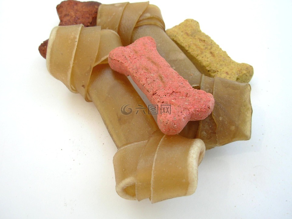狗骨頭,小狗,寵物