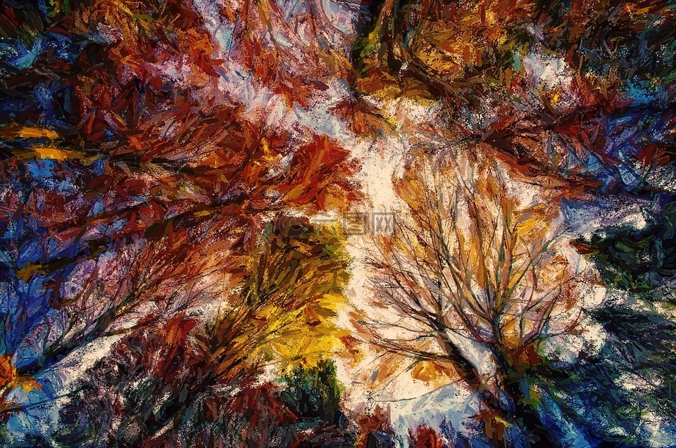 抽象樹枝,景觀,自然