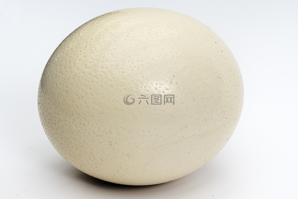 鴕鳥蛋,雞蛋,大雞蛋