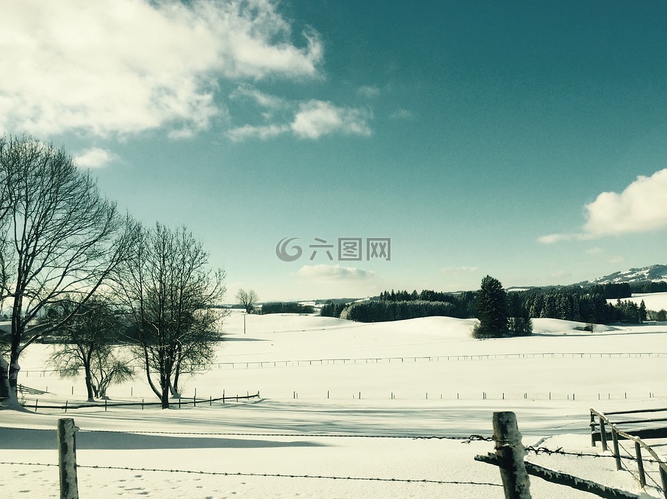 瑞士,旅,性質(zhì)