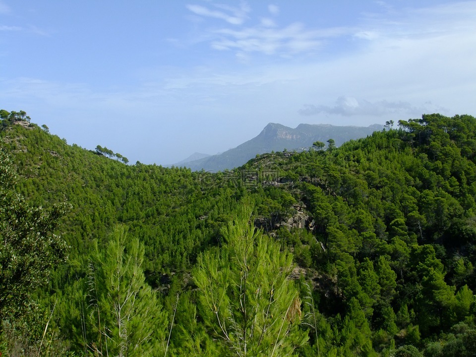 banyalbufar,马洛卡,特曼恩塔纳
