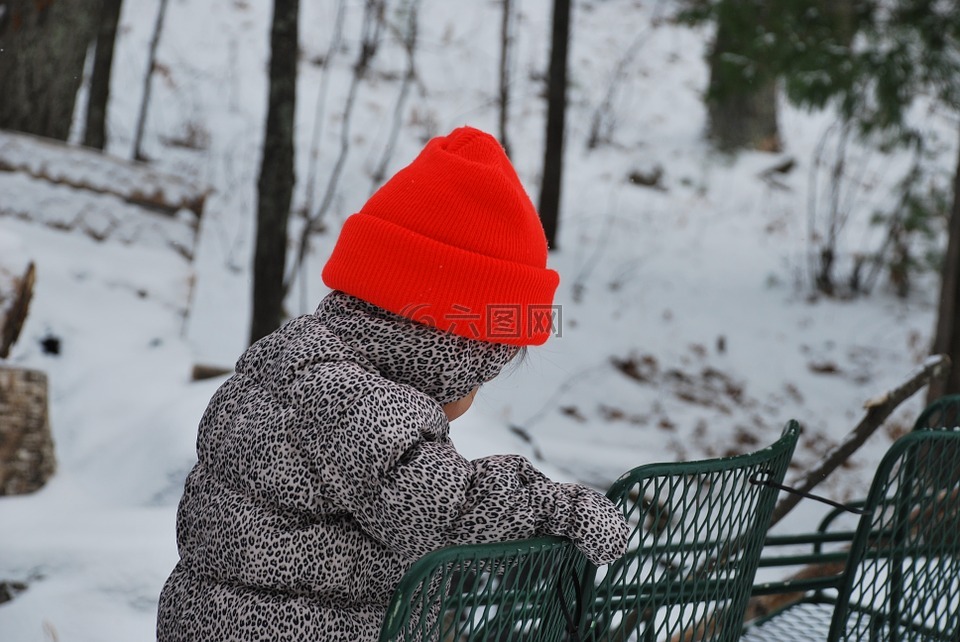 户外,冬天,雪