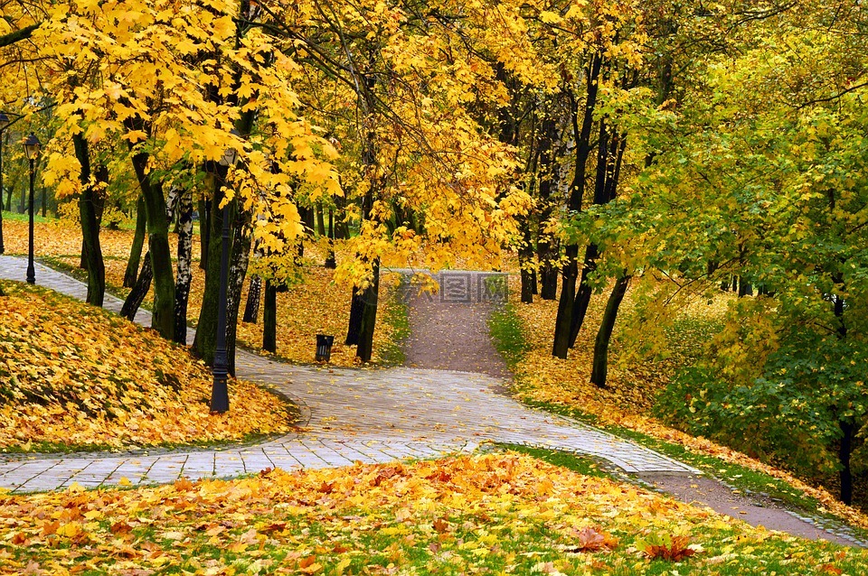 秋天的公园秋季漫步