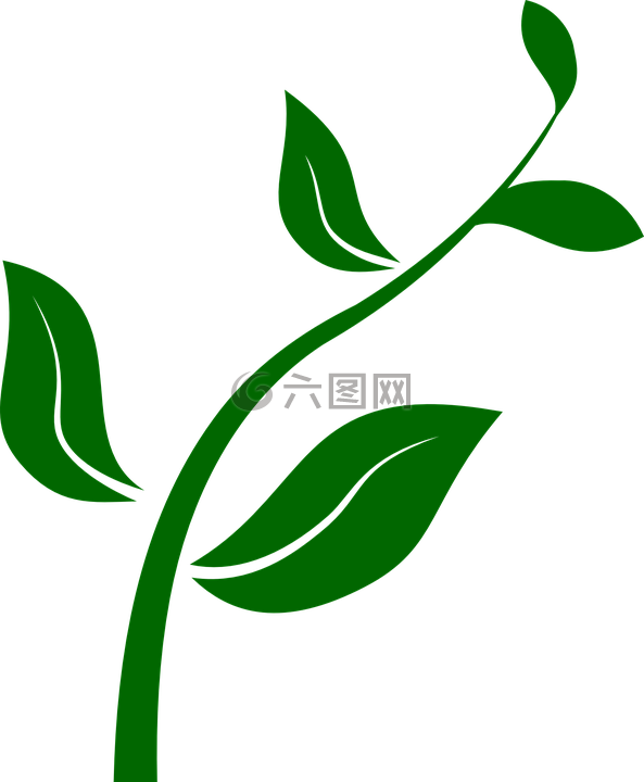 花的,綠色,植物