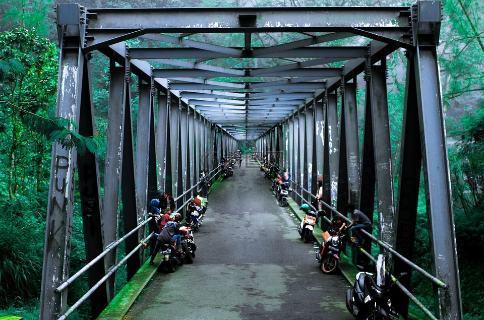 橋梁,森林,綠色