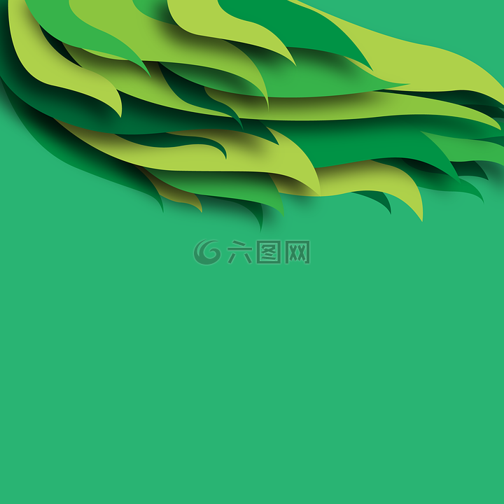 綠色背景,羽毛,抽象