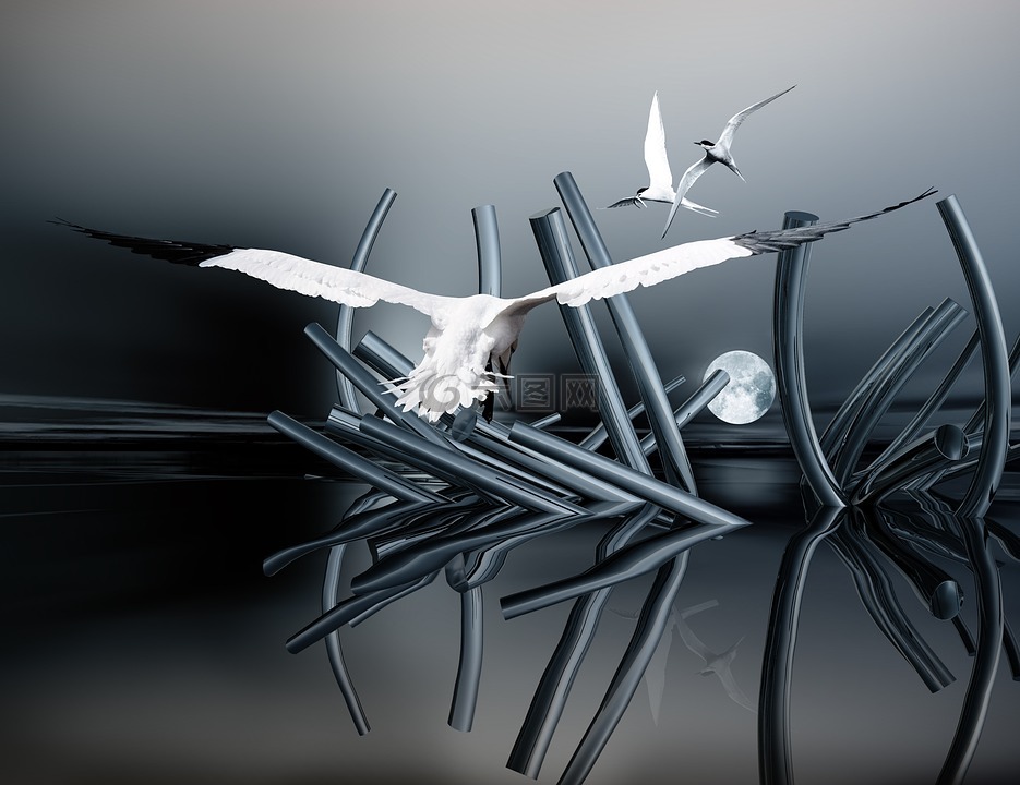 作曲,結(jié)構(gòu),桌面背景