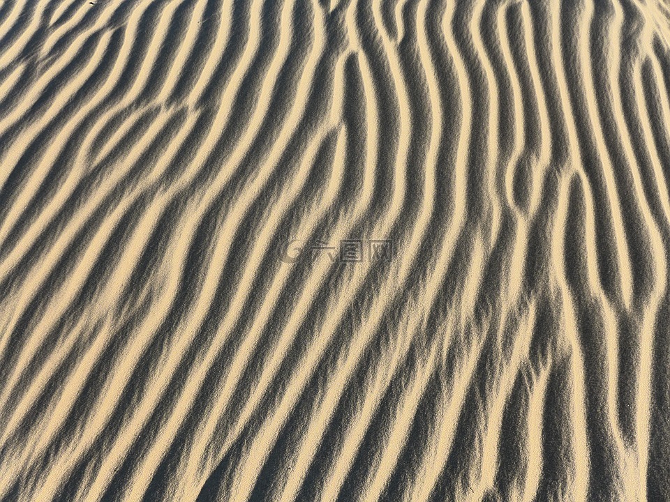 沙漠,沙,沙丘