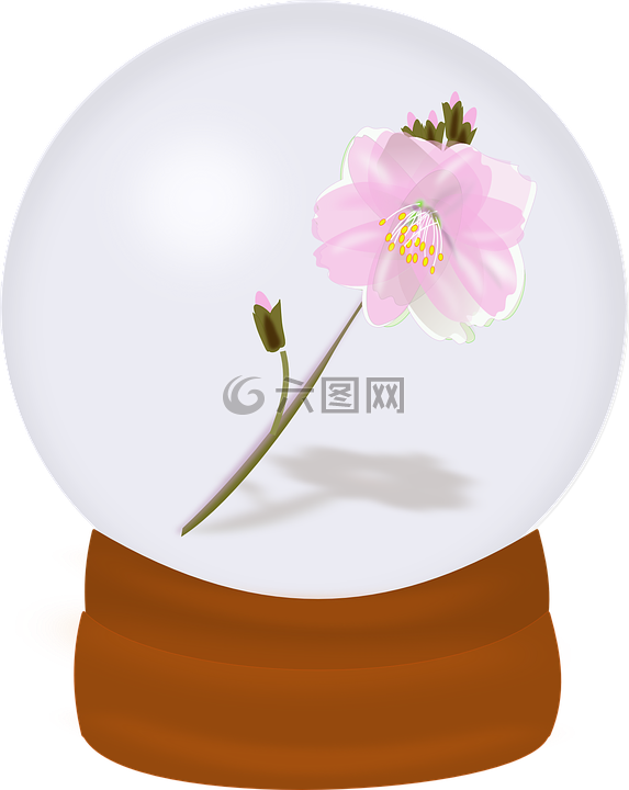 開花,裝修,花