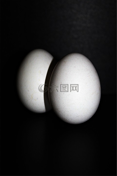 雞雞蛋,蛋,雞蛋