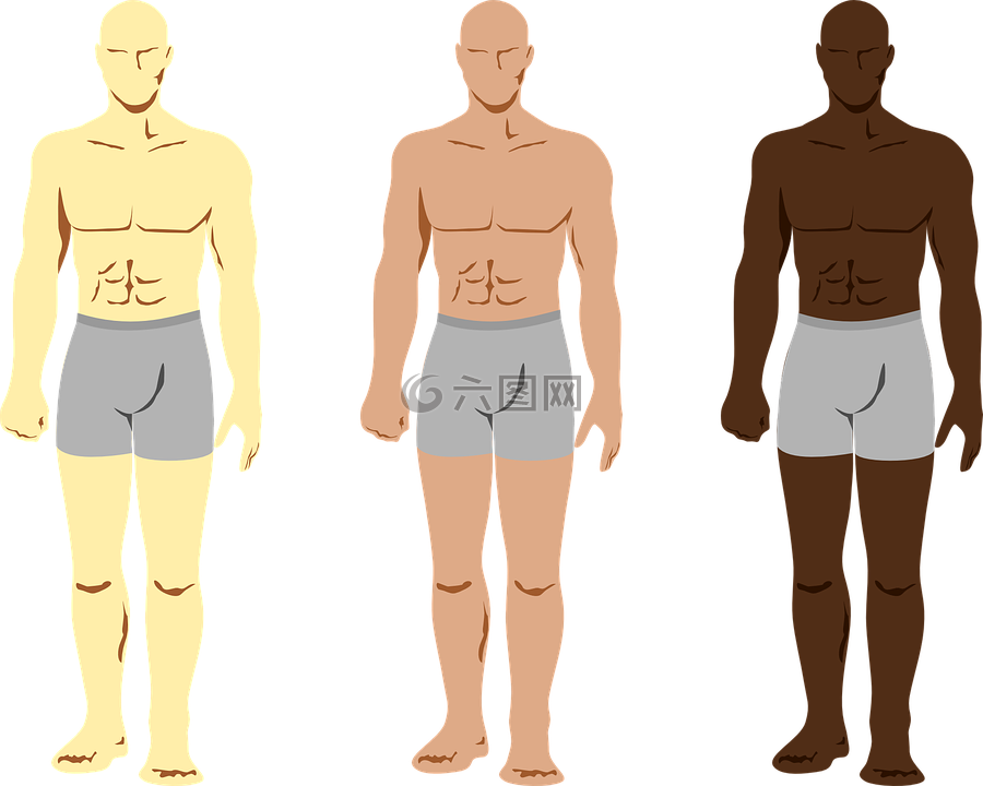 身体,人类,男
