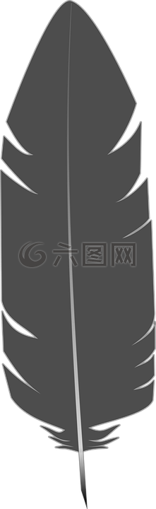 羽毛,灰色,側(cè)影