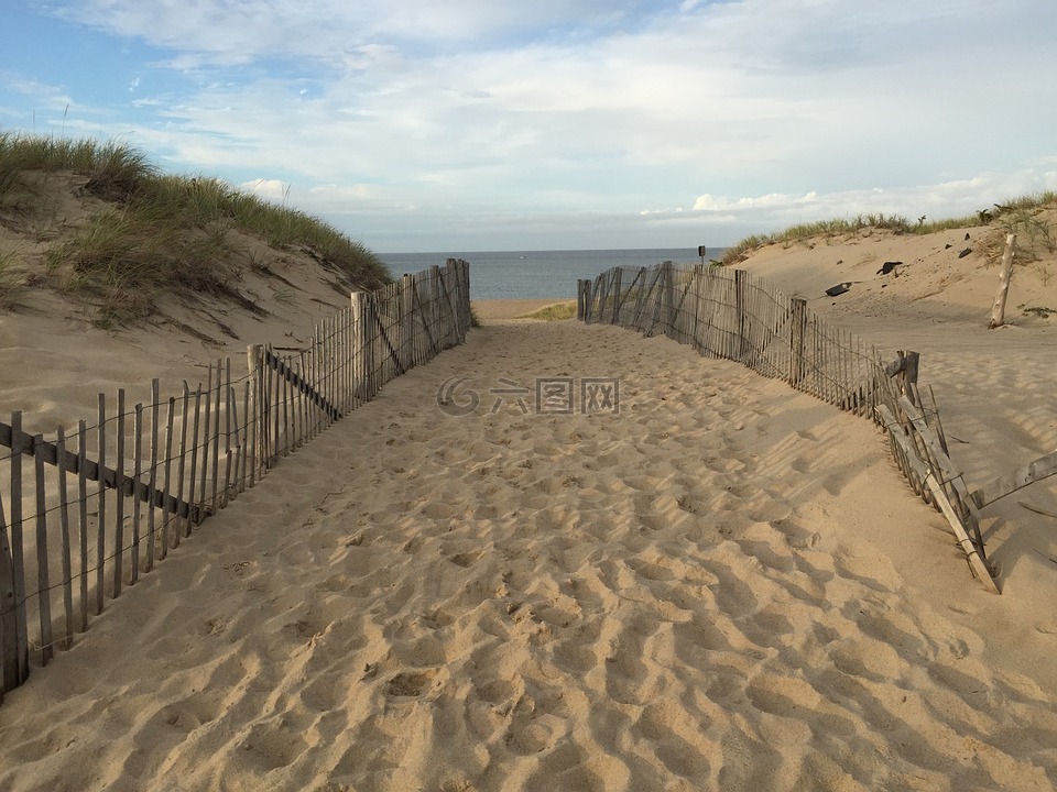 普洛,capecod,馬薩諸塞州